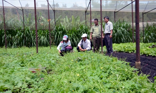 Đắc Nông: Nhìn lại 5 năm thực hiện an toàn thực phẩm